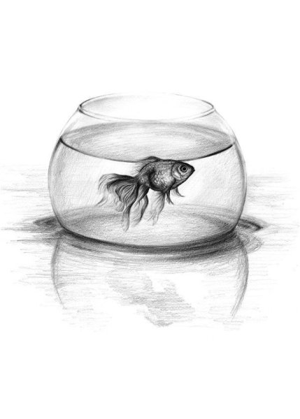 Раскраска аквариум с рыбками для детей