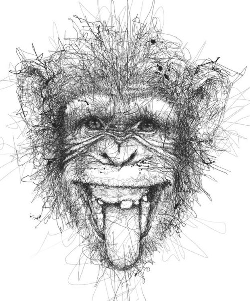 Обезьяна набросок