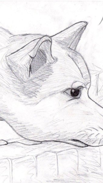 Хатико карандашом