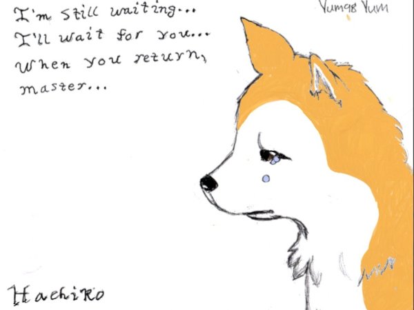 Хатико рисунок