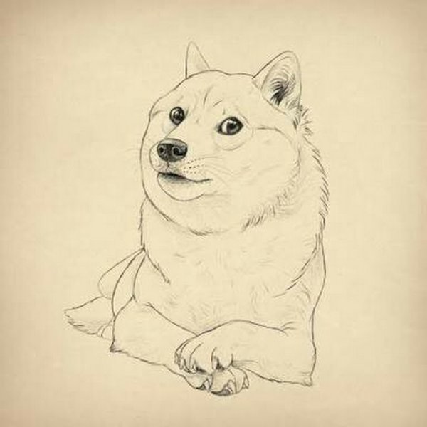 Сиба ину набросок