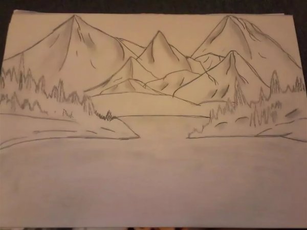 Тайга раскраска