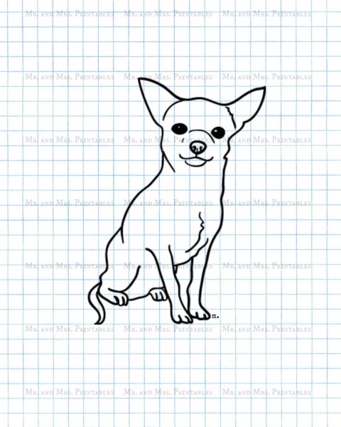 Раскраска чиа Хуа Хуа