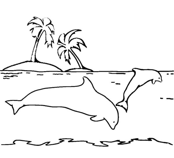 Пальма карандашом