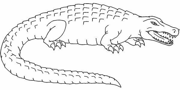Как нарисовать крокодила