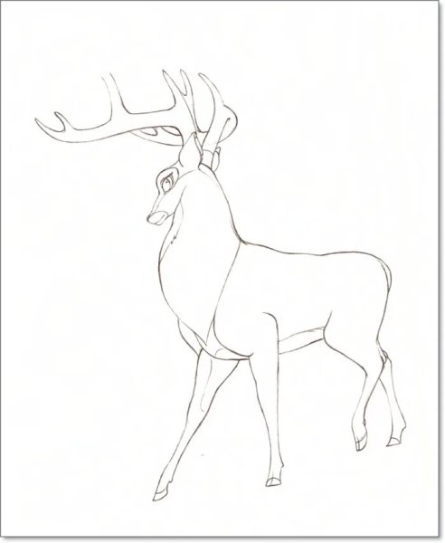 Поэтапное рисование оленя для детей