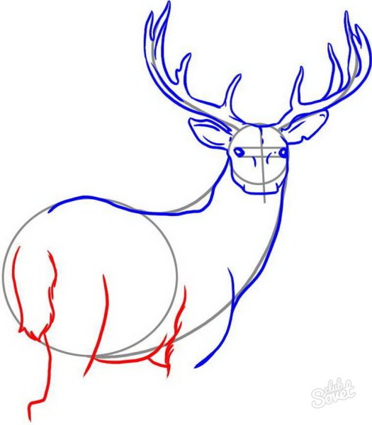 Олень рисунок карандашом