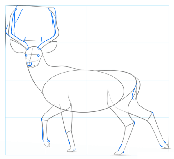 Пятнистый олень раскраска