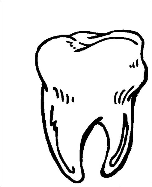 Раскраска зуб