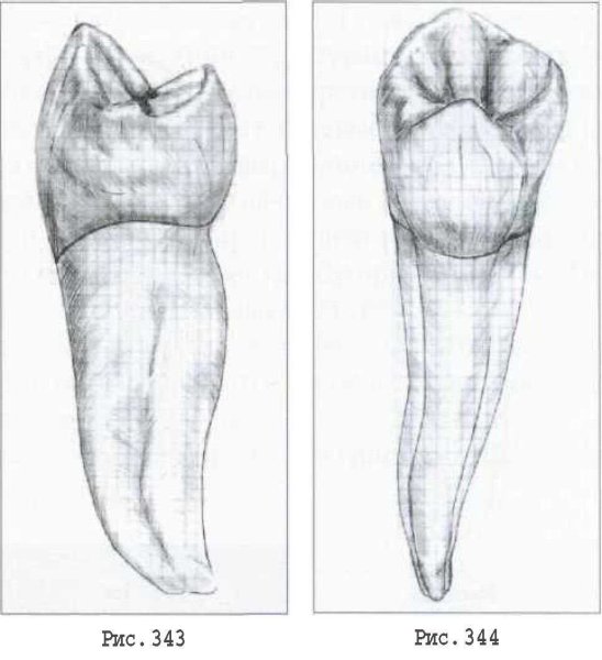 Зуб карандашом