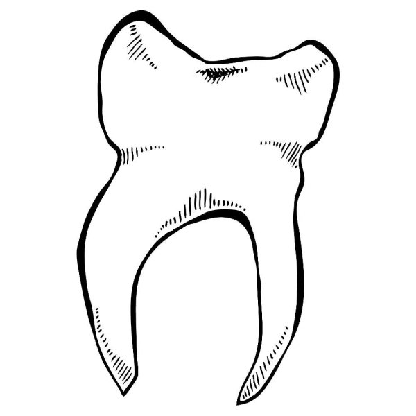 Зубы эскиз
