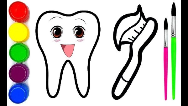 Зуб со всех сторон