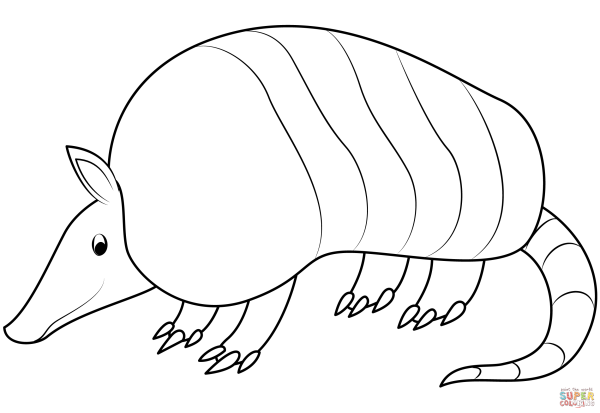 Броненосец раскраска