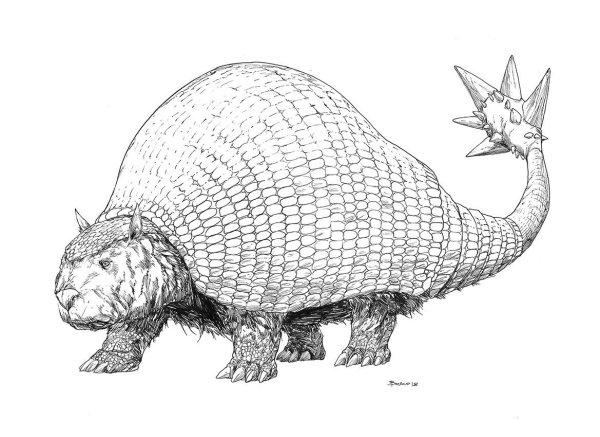 Нарисовать броненосца