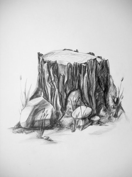 Зарисовки камней