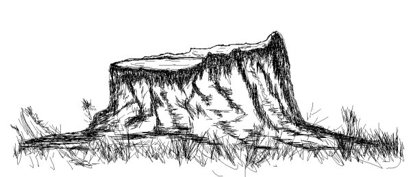 Зарисовки пней