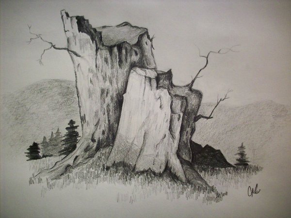 Зарисовки первоплановых элементов пейзажа