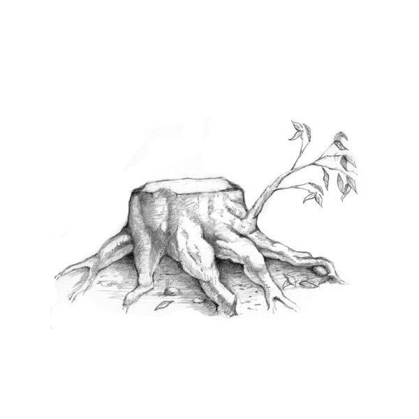 Пень Графика