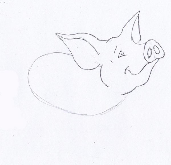 Животные Наброски