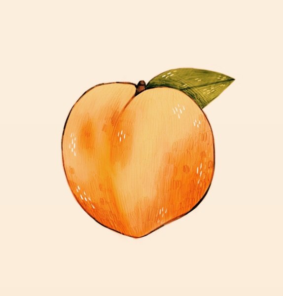 Персик карандашом