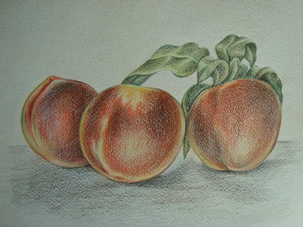 Персик шаблон