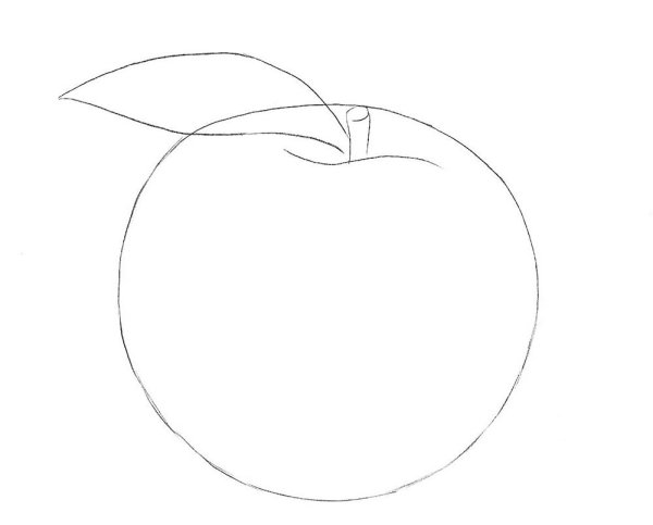 Нектарин раскраска