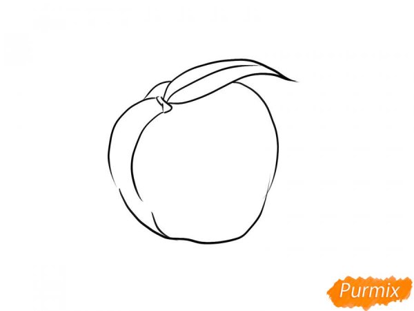 Поэтапное рисование персика