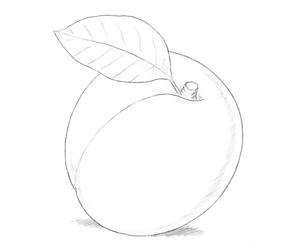Персик карандашом