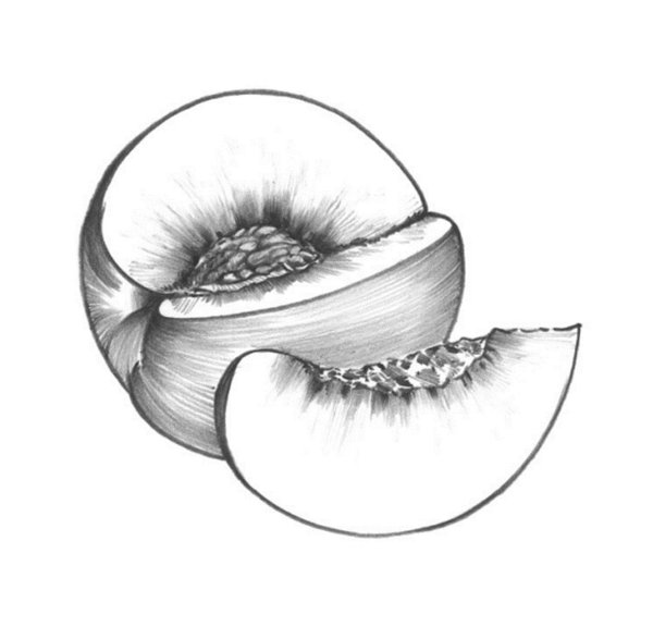 Абрикос скетч