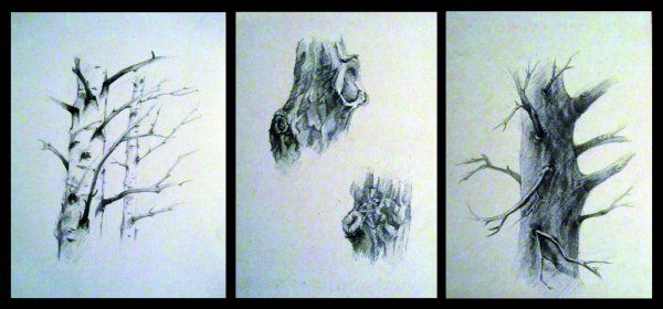 Рисунки РАН карандашом