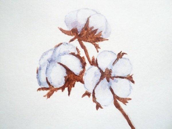 Хлопок рисунок