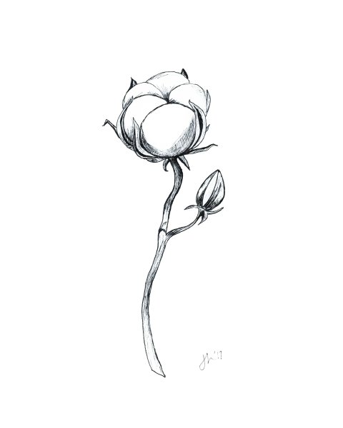 Хлопок карандашом