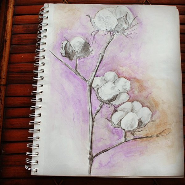 Хлопок карандашом