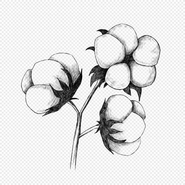 Хлопок акварель