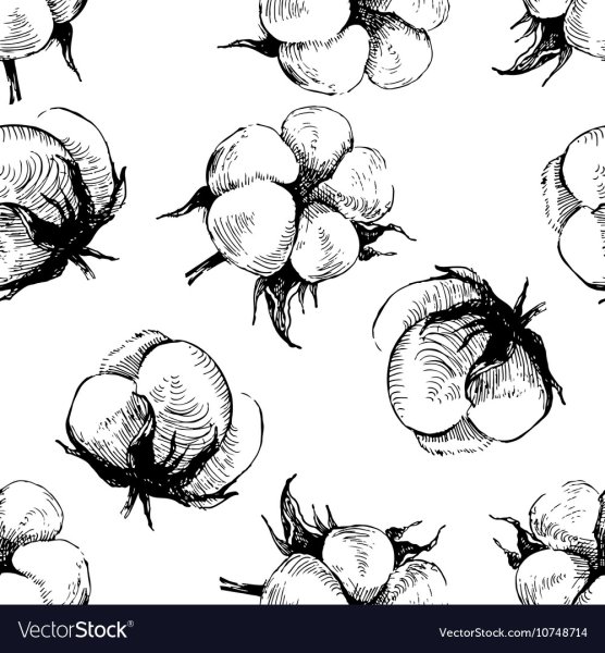 Хлопок рисунок черно белый