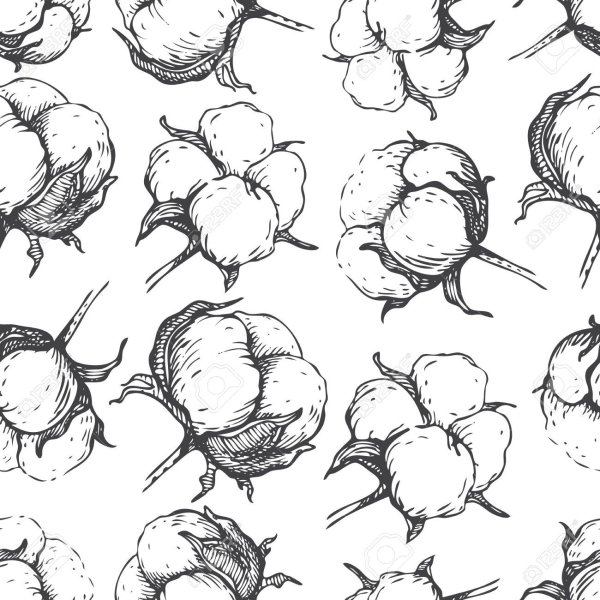 Хлопок рисунок