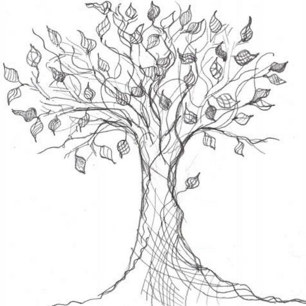 Образ дерева карандашом