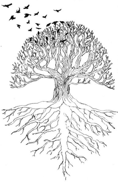 Дерево с корнями эскиз