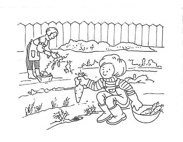 Раскраска. В огороде