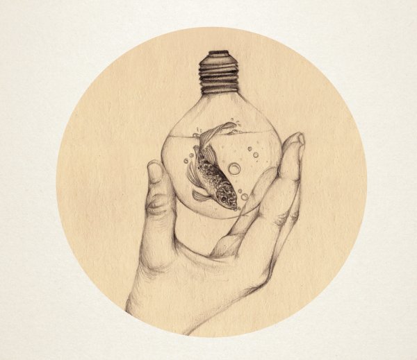 Красивые рисунки в круге