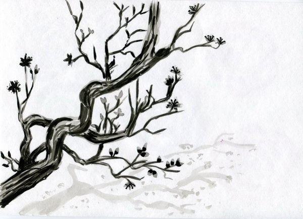 Тушь для рисования