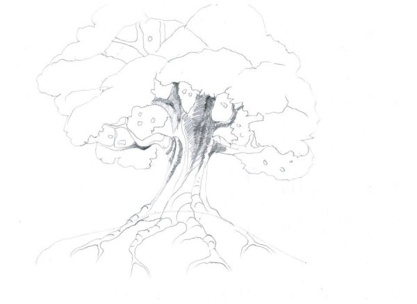 Большое дерево карандашом