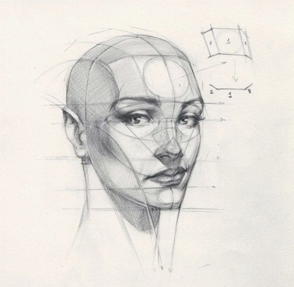 Построение головы