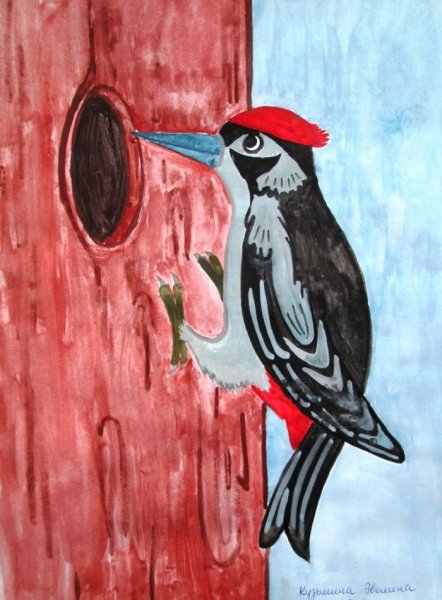 Дятел разукрашка