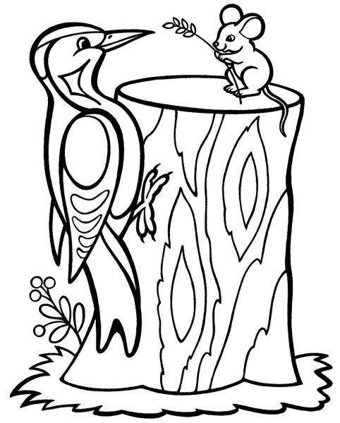 Дятел раскраска