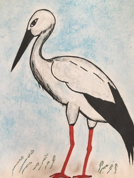 Журавль рисунок