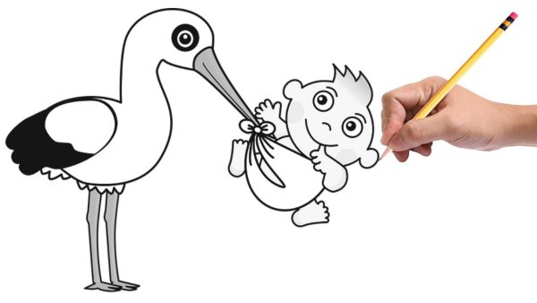 Поэтапное рисование аиста для детей