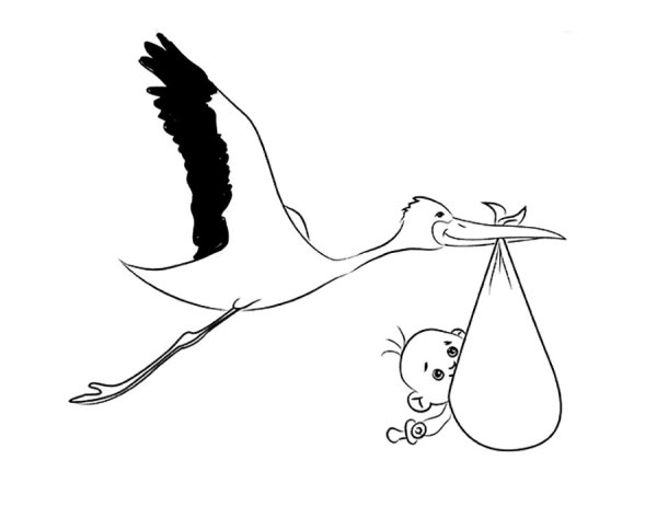 Поэтапное рисование аиста для детей