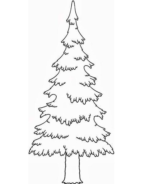 Поэтапное рисование елки