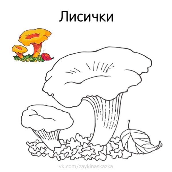 Лисичка гриб рисованый
